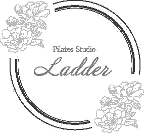 Pilates Studio Ladder